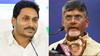 Vice President Poll: TDP, YSRCP Endorse NDA's Radhakrishnan Against INDIA Bloc’s Telugu Counter