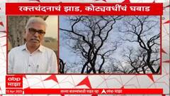 Special Report On Lal chandan Yavatmal|рд╢реЗрддрд╛рдд рд░рдХреНрддрдЪрдВрджрдирд╛рдЪрдВ рдЭрд╛рдб,рдпрд╡рддрдорд╛рд│рдЪреНрдпрд╛ рд╢реЗрддрдХрд▒реНрдпрд╛рд▓рд╛ рдХреЛрдЯреНрдпрд╛рд╡рдзреАрдВрдЪрдВ рдШрдмрд╛рдб