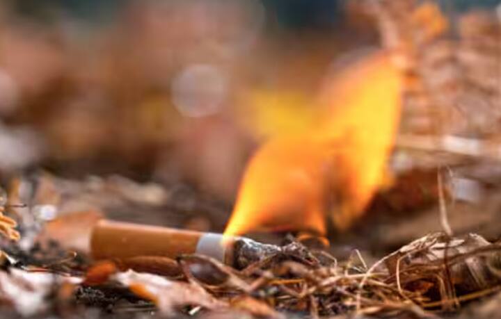 ਬਹੁਤ ਸਾਰੇ ਲੋਕ ਸਿਗਰਟ ਪੀਣ ਦੀ ਆਦਤ ਹੁੰਦੀ ਹੈ ਅਤੇ ਸਿਗਰਟ ਪੀਣ ਤੋਂ ਬਾਅਦ ਉਹ ਇਸ ਨੂੰ ਕਿਤੇ ਵੀ ਇੰਝ ਹੀ ਸੁੱਟ ਦਿੰਦੇ ਹਨ। ਕਈ ਵਾਰ ਅਸੀਂ ਬਿਨਾਂ ਧਿਆਨ ਦਿੱਤਿਆਂ ਮਾਚਿਸ ਦੀ ਤੀਲੀ ਸੁੱਟ ਦਿੰਦੇ ਹਾਂ। ਇਸ ਨਾਲ ਵੀ ਘਰ ਵਿੱਚ ਅੱਗ ਲੱਗ ਸਕਦੀ ਹੈ।