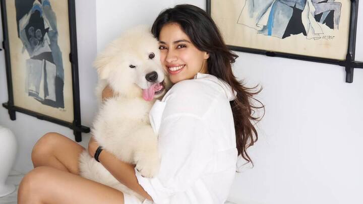 Janhvi Kapoor Photos: అందాల నటి జాన్వీ కపూర్ తన పెట్ డాగ్‌తో సందడి చేశారు. క్యూట్ ఎక్స్‌ప్రెషన్స్‌తో డాగ్‌తో ఆడుకున్న ఫోటోలు తన ఇన్ స్టాలో షేర్ చేయగా వైరల్ అవుతున్నాయి.