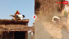 शराबी पति को पत्नी ने छत से दिया धक्का! छज्जे समेत नीचे गिरा मियां, वीडियो देख नहीं रुकेगी हंसी