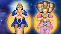 Ketu Gochar 2025 : मे महिन्यात धनवान होतील 'या' 3 राशी, पुढचे दीड वर्ष श्रीमंतीत जगाल, केतू देणार अपार धनलाभ