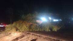 अलीगढ़ में तेज तूफान का कहर, तबाही मची, हाईवे जाम, किसानों की फसलें बर्बाद