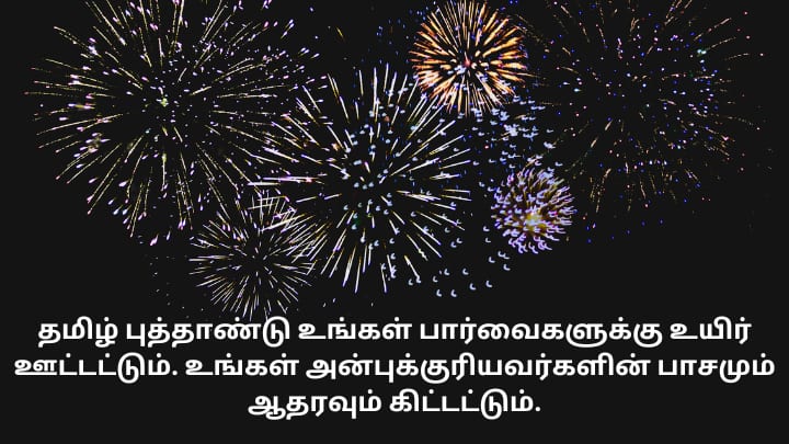 தமிழ் புத்தாண்டு உங்கள் பார்வைகளுக்கு உயிர் ஊட்டட்டும். உங்கள் அன்புக்குரியவர்களின் பாசமும் ஆதரவும் கிட்டட்டும்.