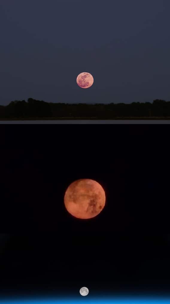 'Pink Moon' அழகான புகைப்படங்கள்!