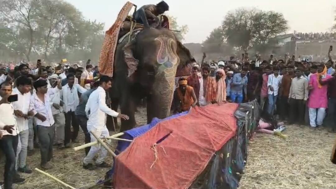 अनोखा ‘ताड़का वध’, हाथी ने पैरों से कुचलकर किया प्रतीकात्मक वध, हजारों की संख्या में आए भक्त Jhansi Tadaka Vadh elephant did symbolic killing by crushing thousands devotees gathered ANN अनोखा ‘ताड़का वध’, हाथी ने पैरों से कुचलकर किया प्रतीकात्मक वध, हजारों की संख्या में आए भक्त