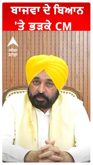 ਬਾਜਵਾ ਦੇ ਬਿਆਨ 'ਤੇ ਭੜਕੇ CM