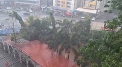 सोसाट्याचा वारा, तुफान पावसाची हजेरी, पिंपरी चिंचवडसह नांदेडला अवकाळी पावसाने झोडपले,Photos