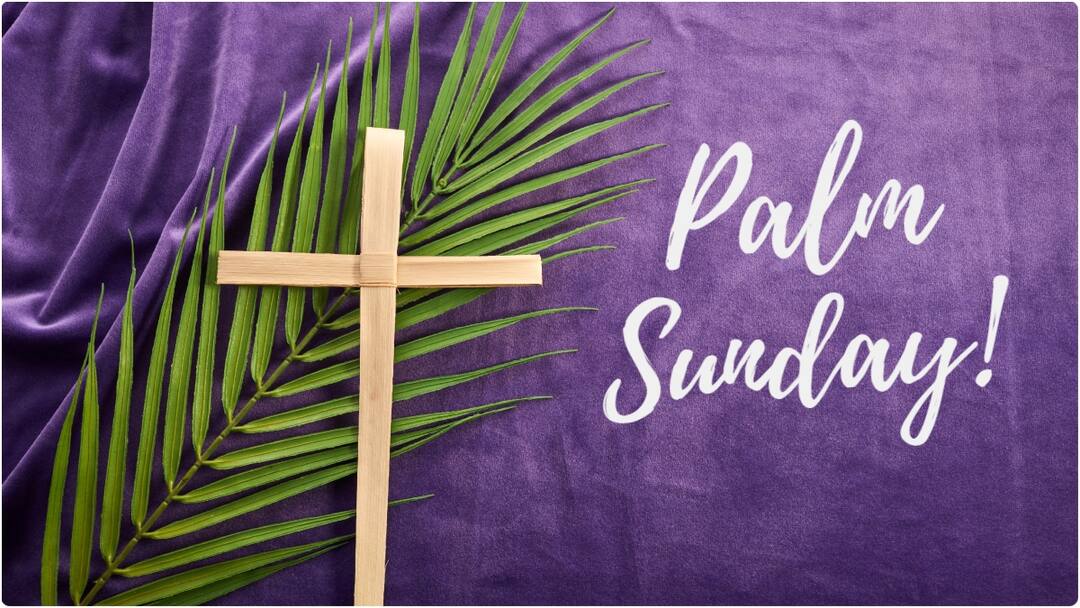 Palm Sunday History and Significance Here Are the Reasons Christians Celebrate This Sunday Palm Sunday : మట్టల ఆదివారంని క్రైస్తవులు ఎందుకు జరుపుకుంటారో తెలుసా? పామ్ సండే చరిత్ర, ప్రాముఖ్యతలు ఇవే