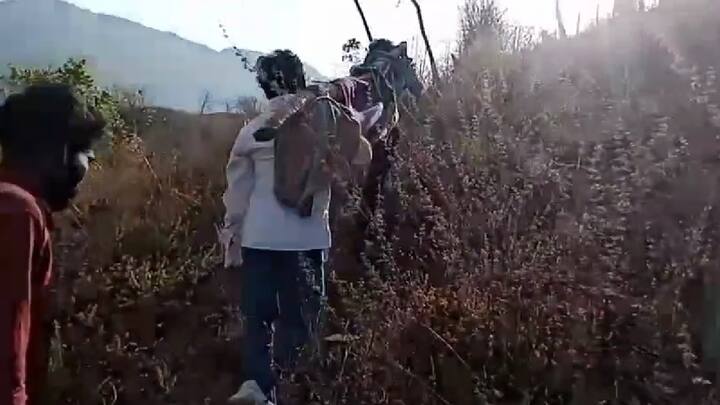 नंदुरबार जिल्ह्यातील आदिवासी बांधवांच्या या मरणयातना कधी थांबणार असा सवाल यानिमित्ताने उपस्थित होत आहे.