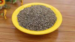 गर्मियों में अक्सर पेट रहता है गड़बड़ तो दही के साथ मिलाकर खाएं ये चीज, तुरंत मिलेगी राहत