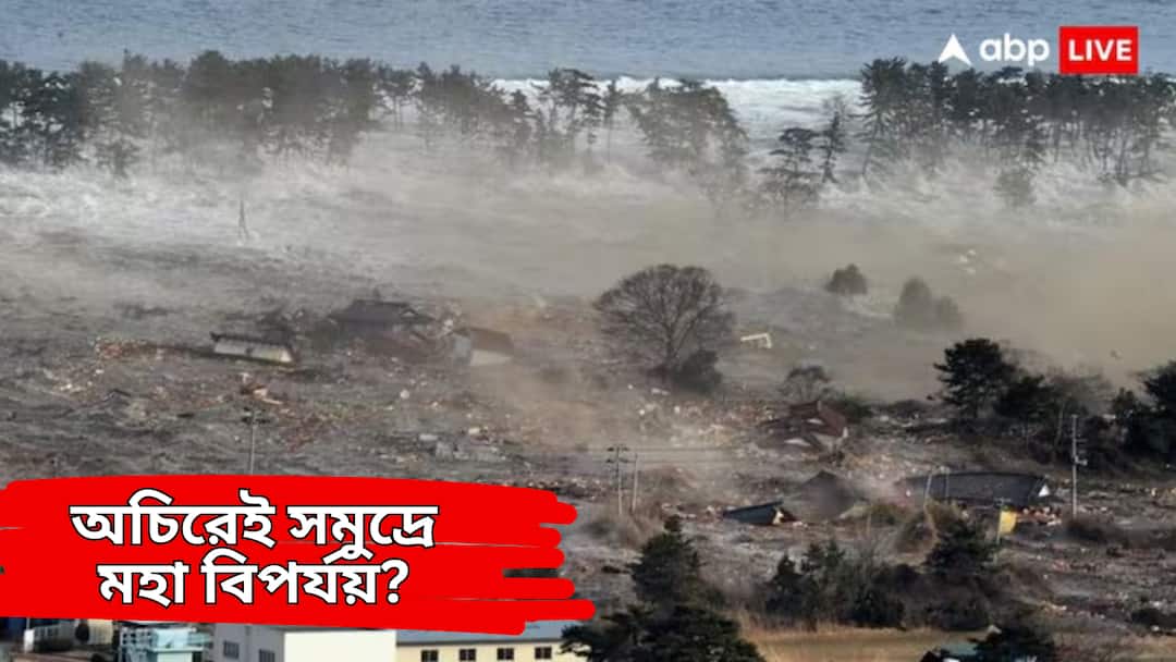 Japani Baba Vanga Predictions 2025 mega tsunami in three months india on alert Baba Vanga : অচিরেই সমুদ্রে মহা প্রাকৃতিক বিপর্যয় ! 'জাপানি বাবা ভাঙ্গা'র ভবিষ্যদ্বাণী কাঁপাবে ভারতকেও ?
