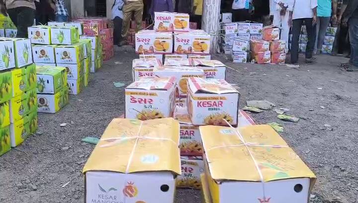 જો કે, વેપારીઓનું એવું પણ માનવું છે કે દર વર્ષની સરખામણીએ આ વર્ષે કેરીની એકંદરે આવક ઓછી રહેવાની શક્યતા છે. તેમ છતાં, હાલમાં કેસર કેરીની આવકમાં થયેલો વધારો ખેડૂતો માટે રાહતના સમાચાર છે. સારા ભાવ મળવાની આશાએ ખેડૂતો મોટી સંખ્યામાં યાર્ડમાં કેરી લઈને આવી રહ્યા છે.