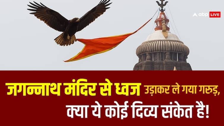 जगन्नाथ मंदिर से ध्वज उड़ाकर ले गया बाज, दिव्य संकेत या चमत्कारी घटना?
