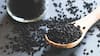 Black Cumin Health Benefits: রান্নায় কেন ব্যবহার করবেন কালো জিরে? শুধু স্বাদ-গন্ধ আনাই নয়, এই মশলার রয়েছে অনেক গুণ