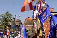 જયભીમના નારાથી સાણંદ ગુંજી ઉઠ્યું, હાથીની અંબાડી પર સંવિધાન રાખી ભવ્ય યાત્રા નિકળી