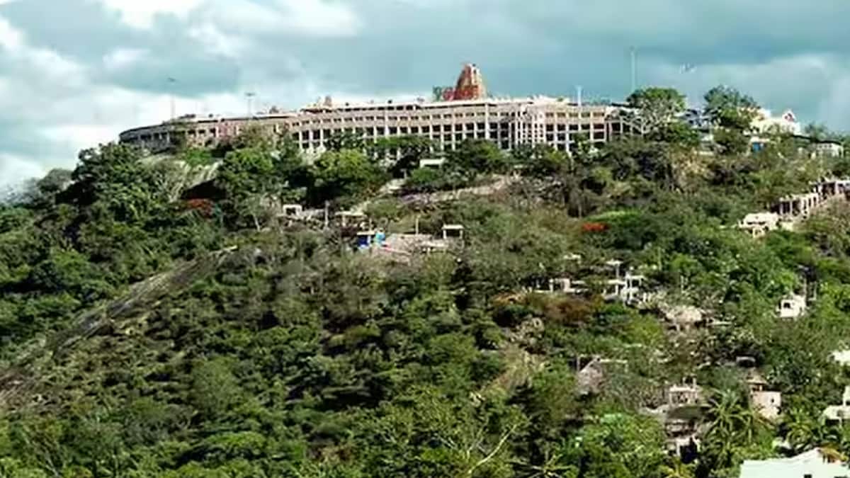 தமிழ்ப்புத்தாண்டை முன்னிட்டு பழனியில் குவிந்த முருக பக்தர்கள். அரோகரா கோசங்களுடன் வழிபாடு..