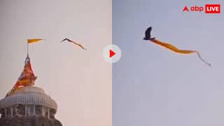 आखिर क्या होने वाला है? जगन्नाथ मंदिर की पताका ले उड़ा बाज, वीडियो देखकर हैरान रह गए लोग