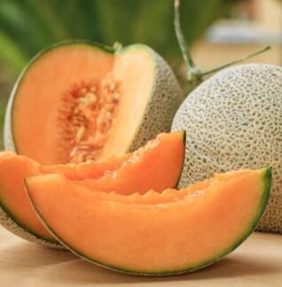 ਖਰਬੂਜੇ ਵਿੱਚ ਪਾਇਆ ਜਾਣ ਵਾਲਾ ਵਿਟਾਮਿਨ C ਇਮਿਊਨ ਸਿਸਟਮ ਨੂੰ ਮਜ਼ਬੂਤ ਬਣਾਉਂਦਾ ਹੈ। ਵਿਟਾਮਿਨ C ਦੇ ਨਾਲ-ਨਾਲ, ਇਸ ਵਿੱਚ ਵਿਟਾਮਿਨ A ਅਤੇ ਬੀਟਾ-ਕੈਰੋਟੀਨ ਵੀ ਪਾਇਆ ਜਾਂਦਾ ਹੈ, ਜੋ ਕਿ ਰੋਗਾਂ ਦੇ ਵਿਰੁੱਧ ਲੜਨ ਵਾਲੀਆਂ ਖ਼ਾਸ ਖੂਬੀਆਂ ਲਈ ਜਾਣੇ ਜਾਂਦੇ ਹਨ।
