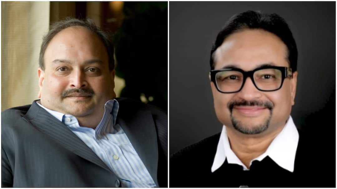 Choksi Arrest Reaction PNB Scam Whistleblower On Mehul Choksi Arrest In Belgium ‘Important To Get Back Billions He Stole From India’: PNB Scam Whistleblower On Mehul Choksi Arrest In Belgium