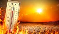 Ahmedabad Heat: અમદાવાદમાં આજે યલો એલર્ટ, જાણો હવામાન વિભાગની લેટેસ્ટ આગાહી