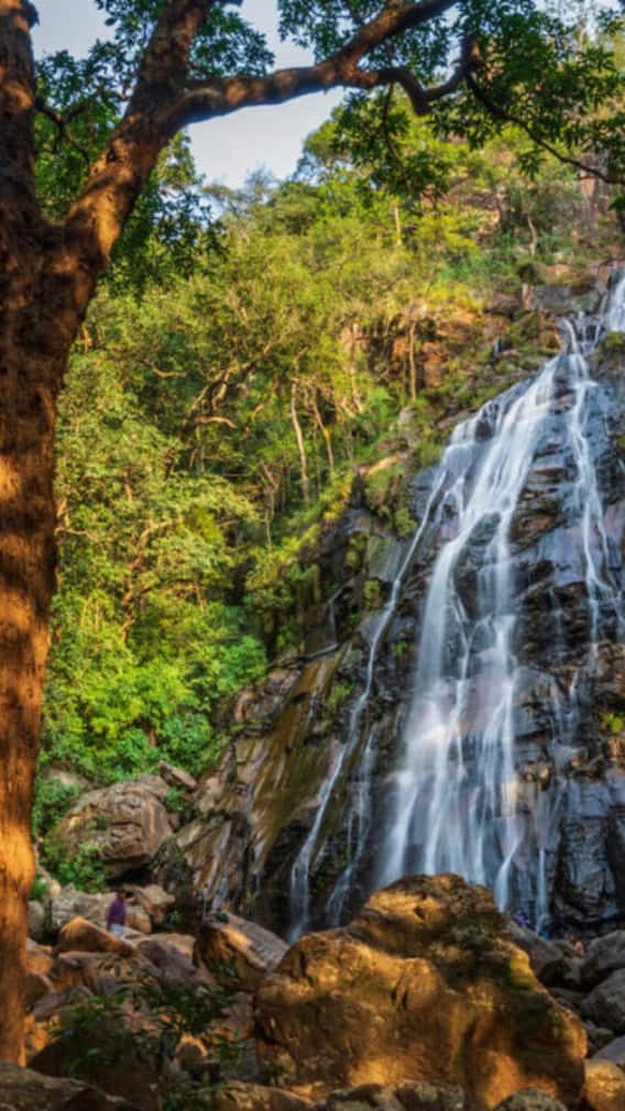 गर्मियों में घूमने का बेस्ट है MP का ये 'मिनी कश्मीर'