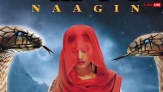 Naagin 7 Release Date: खतरों के खिलाड़ी 15 की जगह लेगा नागिन 7? कब से शुरू होगा एकता कपूर का ये बड़ा शो?