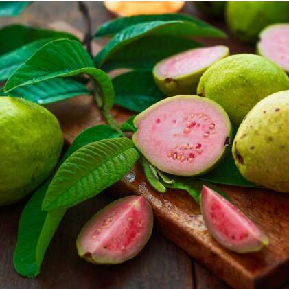 ਅਮਰੂਦ ਵਿੱਚ ਵਿਟਾਮਿਨ C ਬਹੁਤ ਪਾਇਆ ਜਾਂਦਾ ਹੈ ਜੋ ਇਮਿਊਨ ਸਿਸਟਮ ਨੂੰ ਮਜ਼ਬੂਤ ਕਰਨ ਵਿੱਚ ਮਦਦ ਕਰਦਾ ਹੈ ਅਤੇ ਸਰੀਰ ਨੂੰ ਰੋਗਾਂ ਤੋਂ ਬਚਾਉਂਦਾ ਹੈ। ਇਸ ਫਲ ਨੂੰ ਅੱਖਾਂ ਦੀ ਸਿਹਤ ਲਈ ਵੀ ਬਹੁਤ ਫਾਇਦੇਮੰਦ ਮੰਨਿਆ ਜਾਂਦਾ ਹੈ। ਇਸ ਦੇ ਨਾਲ ਹੀ ਇਹ ਸ਼ੂਗਰ ਤੋਂ ਵੀ ਬਚਾਉਂਦਾ ਹੈ।