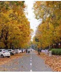 ਚੰਡੀਗੜ੍ਹ 'ਚ ਮੀਂਹ-ਤੂਫਾਨ ਦਾ ਅਲਰਟ, ਘਰੋਂ ਨਿਕਲਣਾ ਹੋਏਗਾ ਮੁਸ਼ਕਿਲ...