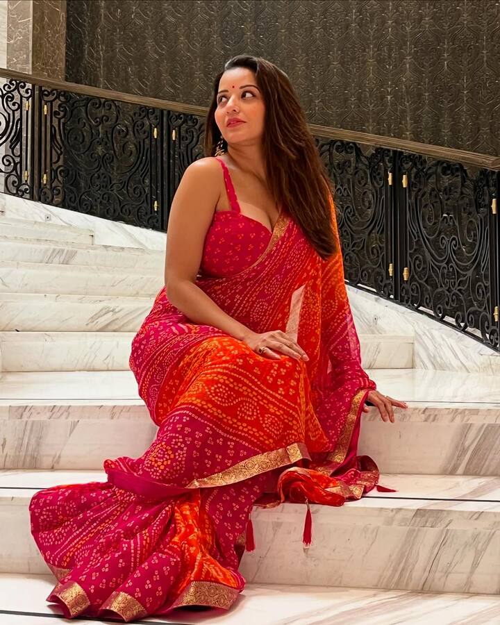 इन तस्वीरों में मोनालिसा ग्लैमरस नहीं बल्कि अपना देसी अवतार फ्लॉन्ट करती हुई दिखाई दी. एक्ट्रेस ने पिंक और रेड कलर की बांधनी साड़ी पहनी हुई है.