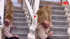 शेर के साथ तस्वीरें ले रहा था शख्स! अचानक दरिंदे ने पकड़ ली गर्दन फिर...वीडियो देख कांप जाएगी रूह