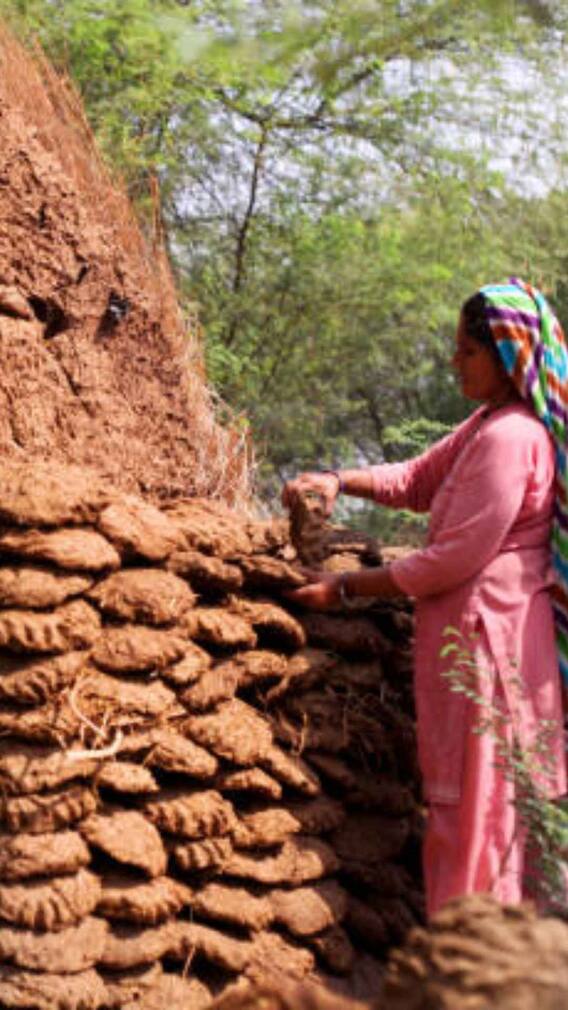 गोबर गैस से कैसे चलती है कार