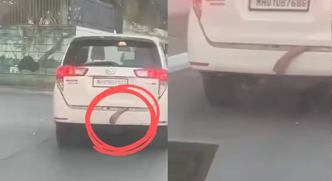 Navi Mumbai Viral Video : चालत्या कारच्या डिग्गीत लटकता हात, वाशी-सानपाडा दरम्यान थरारक दृश्य, Reel साठी टोक गाठल्याचं उघड! Navi Mumbai Viral Video A hand hanging from the innova car diggi of a moving car a thrilling scene between Vashi and Sanpada in Navi Mumbai Shocking reason in police investigation Navi Mumbai Viral Video : चालत्या कारच्या डिग्गीत लटकता हात, वाशी-सानपाडा दरम्यान थरारक दृश्य, Reel साठी टोक गाठल्याचं उघड!