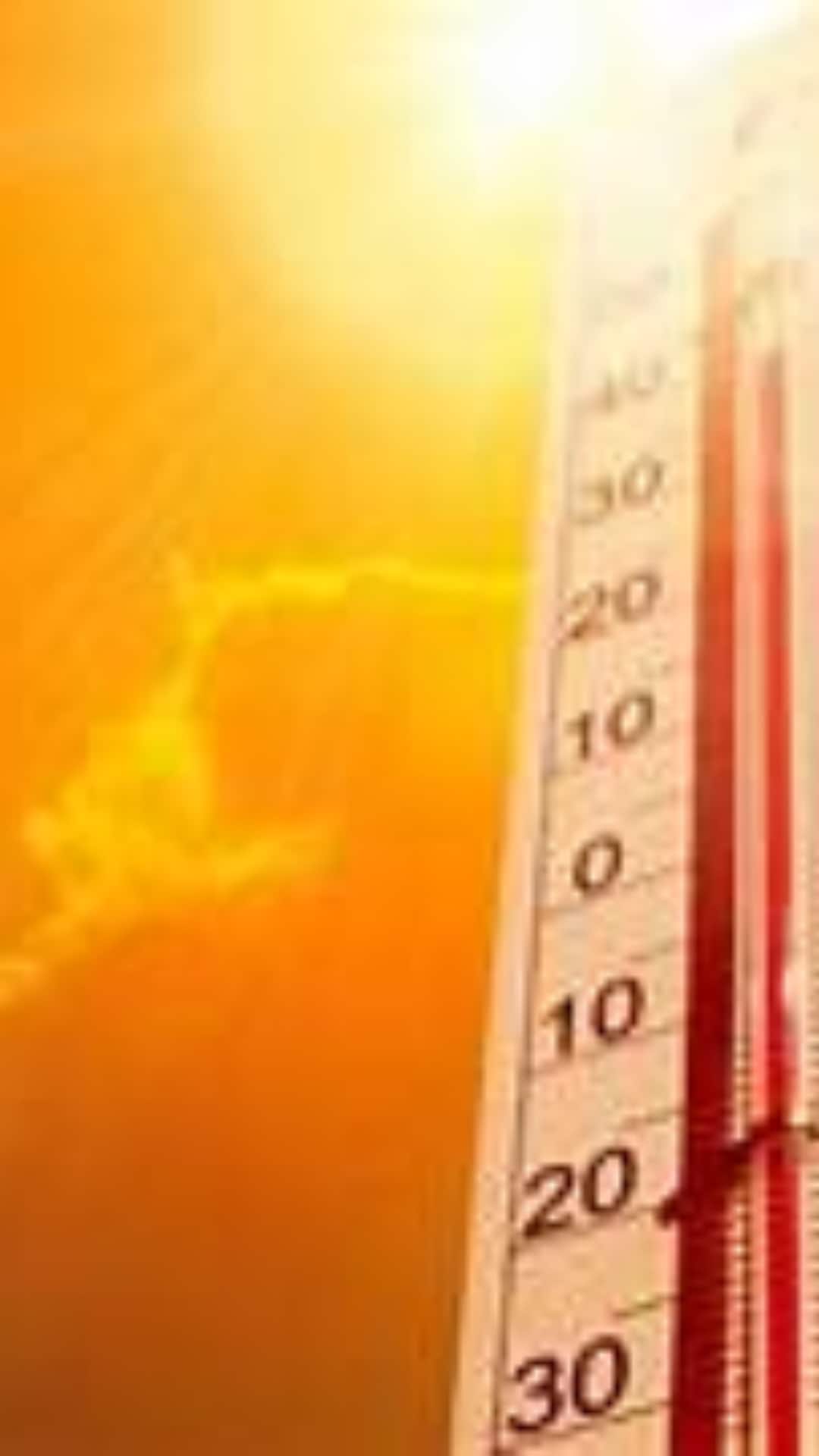 No Alert In Delhi, But Gujarat And Rajasthan Grapple With Heatwave