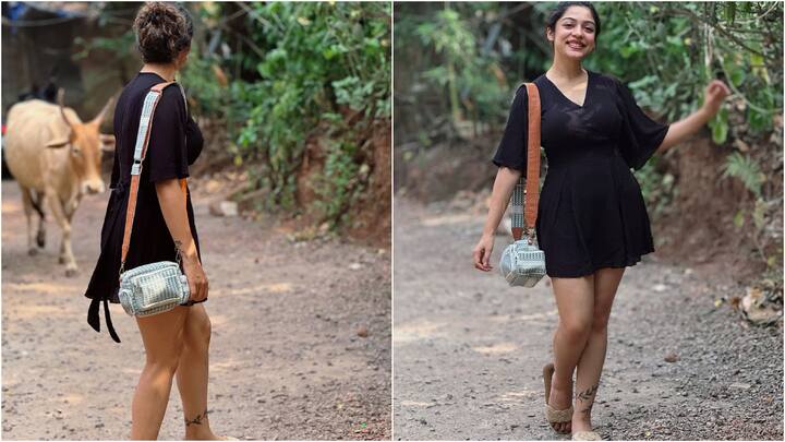 Varsha Bollamma On Rishabh Pant Lucknow Super Giants:క్రికెటర్ రిషబ్ పంత్, లక్నో సూపర్ జెయింట్స్ ఐపీఎల్ టీం మీద హీరోయిన్ వర్షా బొల్లమ్మ జోక్ వేశారు. దానికి చాలా మంది సెలబ్రిటీలు కామెంట్ చేస్తున్నారు. 