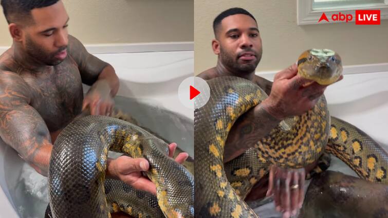 Man was seen bathing with huge python and enjoyed lot in the bathtub video goes viral खतरनाक अजगर के साथ बाथ टब में नहाता दिखा शख्स! यूजर्स बोले, हैकर है भाई हैकर, देखें वीडियो