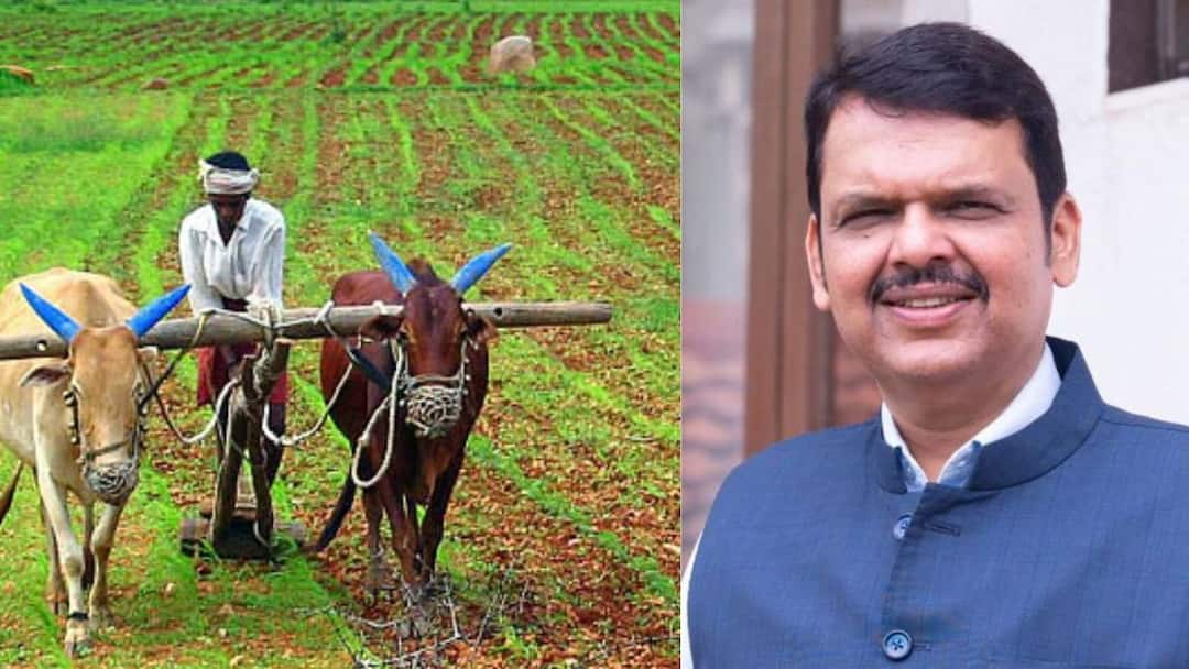 विदर्भातील प्रकल्प बाधितांना 831 कोटी रुपयांचं अनुदान मिळणार, मुख्यमंत्र्यांच्या हस्ते आज वितरण