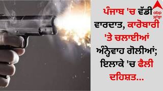 Punjab News: ਪੰਜਾਬ 'ਚ ਵੱਡੀ ਵਾਰਦਾਤ, ਕਾਰੋਬਾਰੀ 'ਤੇ ਚਲਾਈਆਂ ਅੰਨ੍ਹੇਵਾਹ ਗੋਲੀਆਂ; ਇਲਾਕੇ 'ਚ ਫੈਲੀ ਦਹਿਸ਼ਤ