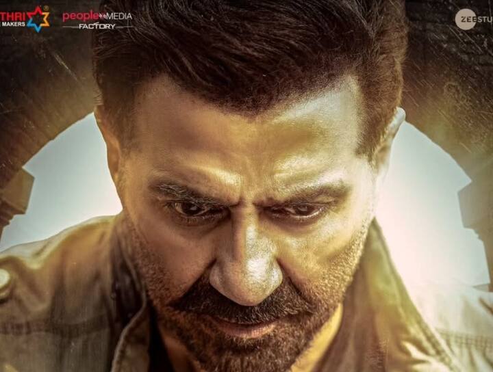 42 साल के फिल्मी करियर में सनी देओल ने 70 से ज्यादा फिल्मों में काम किया है. लेकिन आपको जानकर हैरानी होगी एक्टर के खाते में अब तक सिर्फ 4 ब्लॉकबस्टर फिल्में आई हैं.