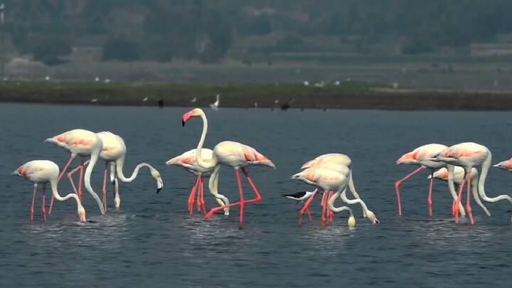 माणसांसाठी निसर्गाने भरभरुन दिलंय, म्हणून पर्यटनाच्या अनुषंगाने माणूस जगभ्रमंती करतो. निसर्ग सौंदर्य, आणि मानवनिर्मित ठिकाण, धार्मिक पर्यटन करतो.