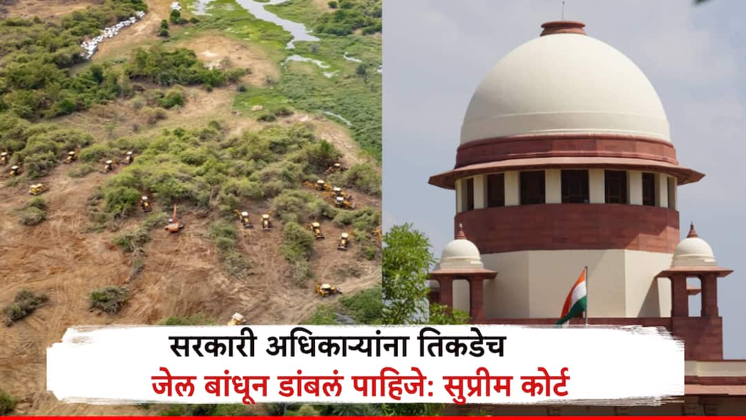 हैदराबादमध्ये जंगल तोडल्यावरुन सुप्रीम कोर्ट संतापून म्हणालं, 'सरकारी अधिकाऱ्यांना तिकडेच जेल बांधून डांबलं पाहिजे' Supreme Court Angry Over Forest Destruction in Hyderabad Kanchaa Gachibowli Says Officials Should Be Locked Up in a Jail Built Right There हैदराबादमध्ये जंगल तोडल्यावरुन सुप्रीम कोर्ट संतापून म्हणालं, 'सरकारी अधिकाऱ्यांना तिकडेच जेल बांधून डांबलं पाहिजे'