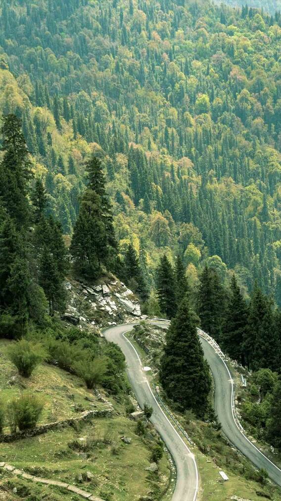 उत्तराखंड में किस जगह था संजीवनी बूटी वाला पहाड़