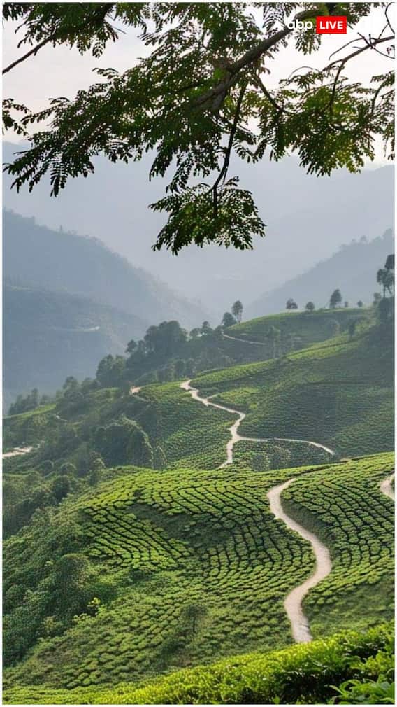 चिकन नेक में कौन-कौन से राज्य आते हैं