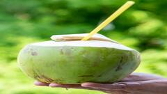 ગરમીમાં નારિયેળ પાણી કેવી રીતે બની શકે છે ડાયાબિટીસના દર્દીઓ માટે ખતરો? આ છે જવાબ