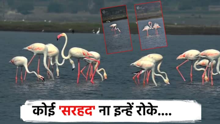 Flamingos माणसांसाठी निसर्गाने भरभरुन दिलंय, म्हणून पर्यटनाच्या अनुषंगाने माणूस जगभ्रमंती करतो. निसर्ग सौंदर्य, आणि मानवनिर्मित ठिकाण, धार्मिक पर्यटन करतो.