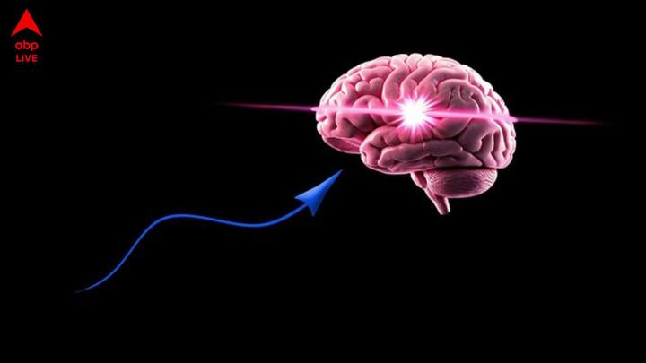 আসুন জেনে নিই কোন রাশির জাতকরা সবচেয়ে বুদ্ধিমান।