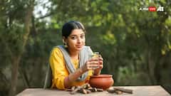 Health Tips: આ તમામ રોગોનો રામબાણ ઈલાજ છે અર્જુનની છાલ, આ છે તેને પીવાની સાચી રીત