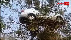 भारत में मिल गई फ्लाइंग कार! भाई ने पेड़ के ऊपर करा दी कार की पार्किंग; वीडियो देख घूम जाएगा दिमाग 