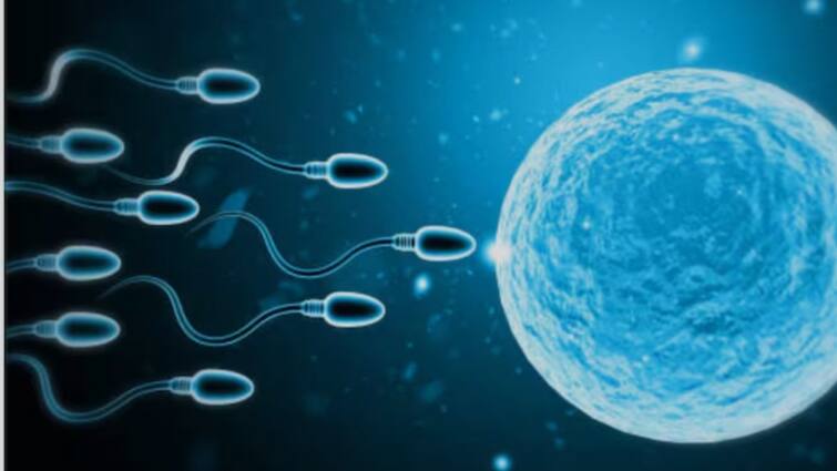 Scientists going to conduct the first sperm race in los angeles will be shot with HD camera preparations for LIVE stream दुनिया में पहली बार वैज्ञानिक करवाने जा रहे स्‍पर्म रेस, HD कैमरे से होगी शूट, किया जाएगा LIVE स्‍ट्रीम