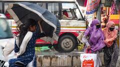 Weather Update: বইবে দমকা ঝোড়ো হাওয়া, চার জেলায় কালবৈশাখীর পূর্বাভাস